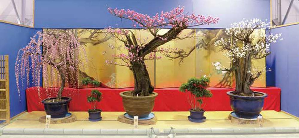 00-min_180219sawa.jpg