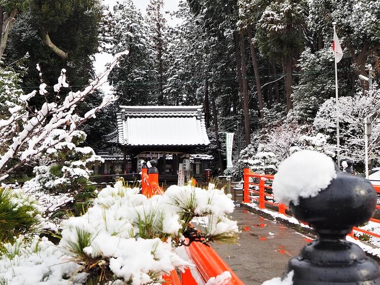 菌神社.jpg