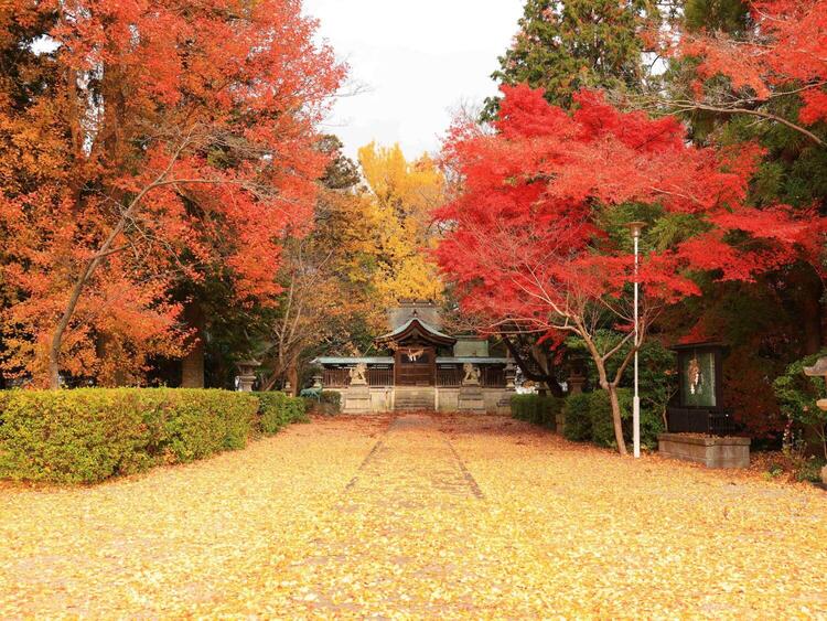 春日神社1.jpg