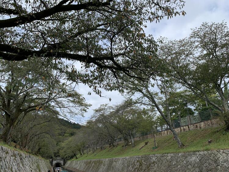 びわ湖疏水船 出航
