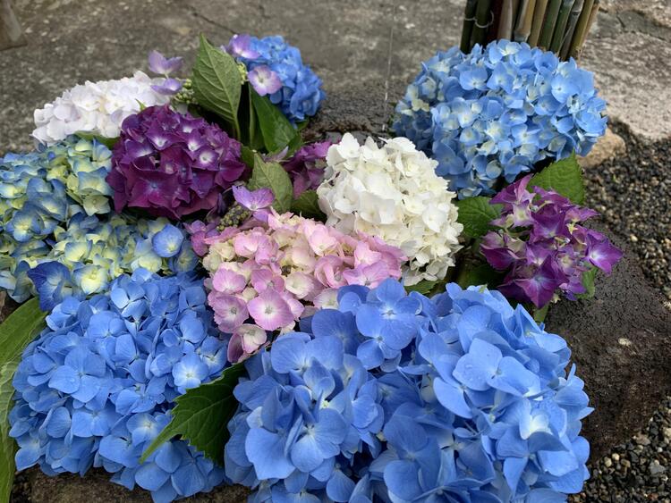 十楽寺　花手水3