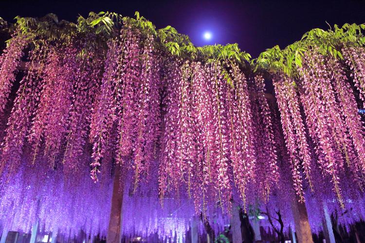 三大神社