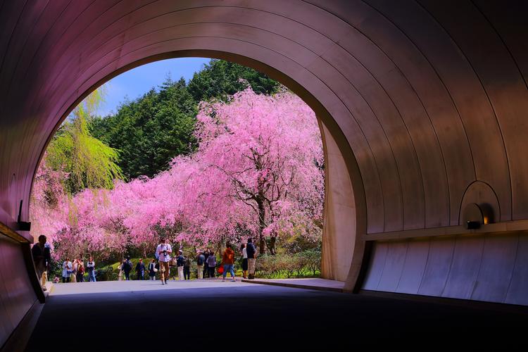MIHO MUSEUM