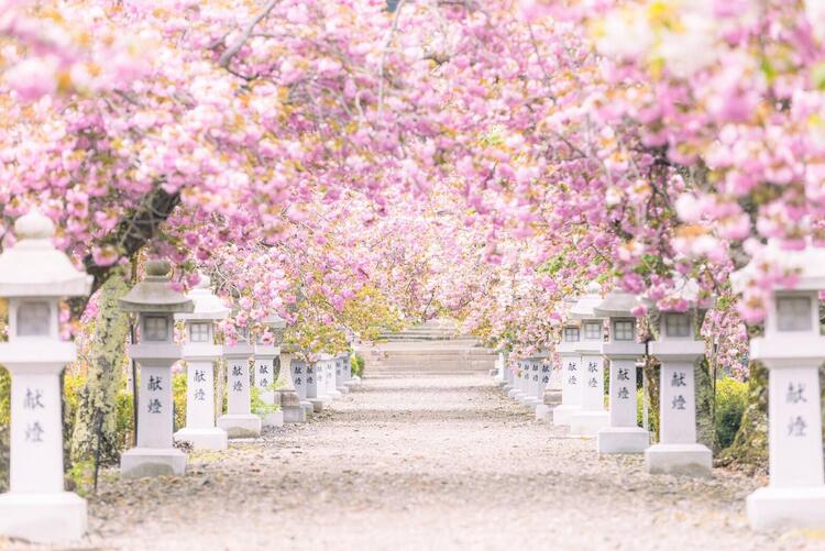 伊香具神社.jpg