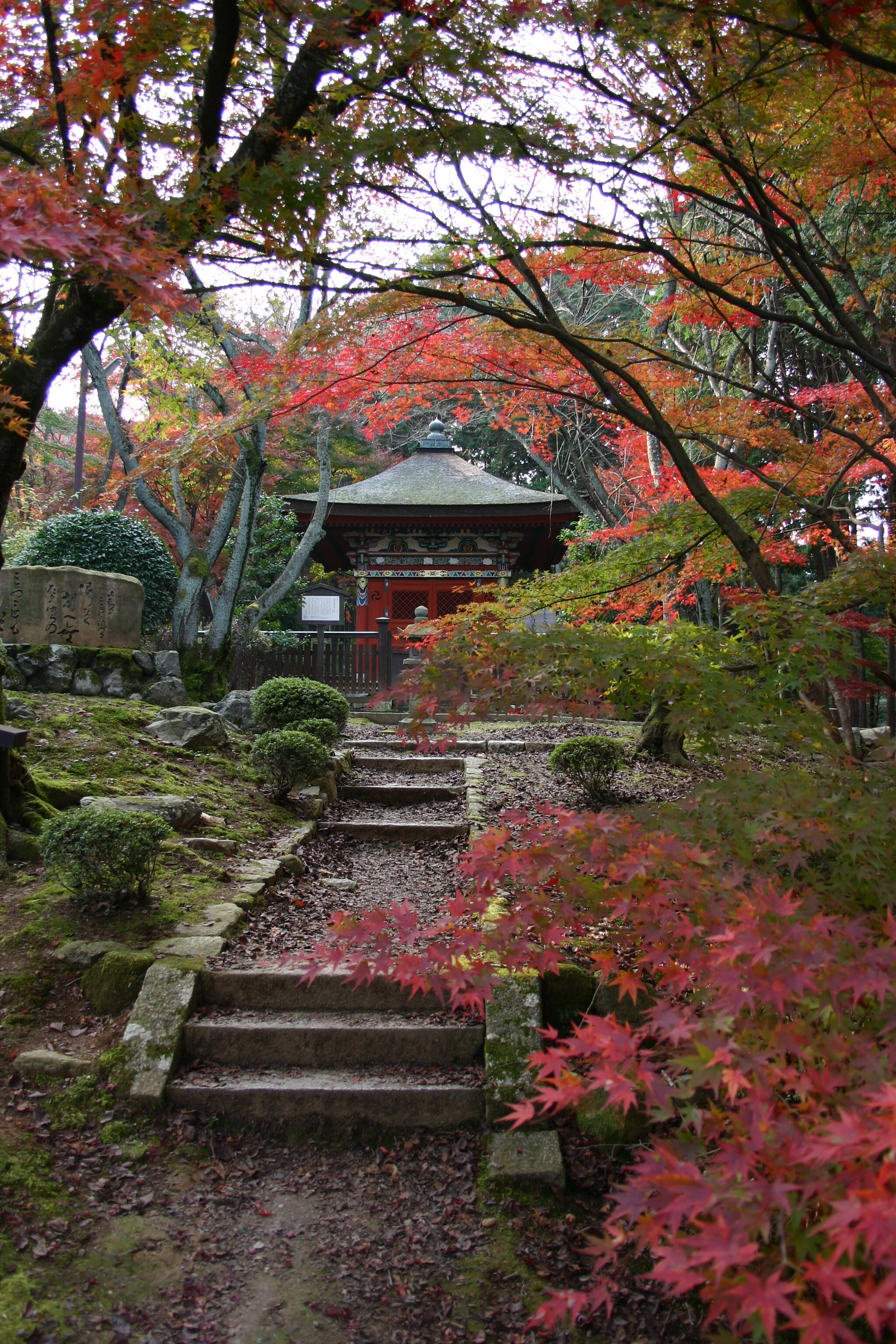 2_三井寺.jpg