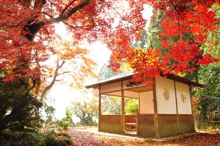 興聖寺.jpg