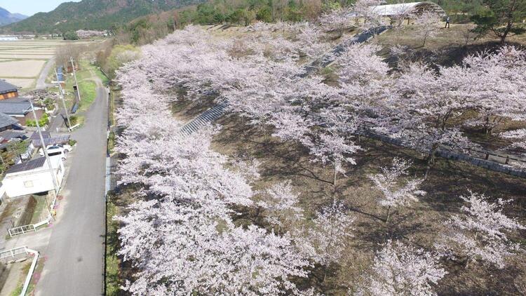 kourasogo-park.jpg