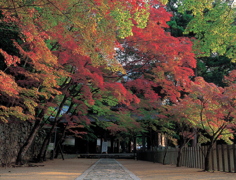 6_永源寺.jpg