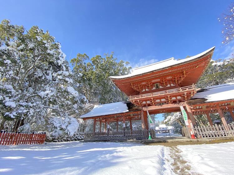 兵主大社雪景色 (3).JPG