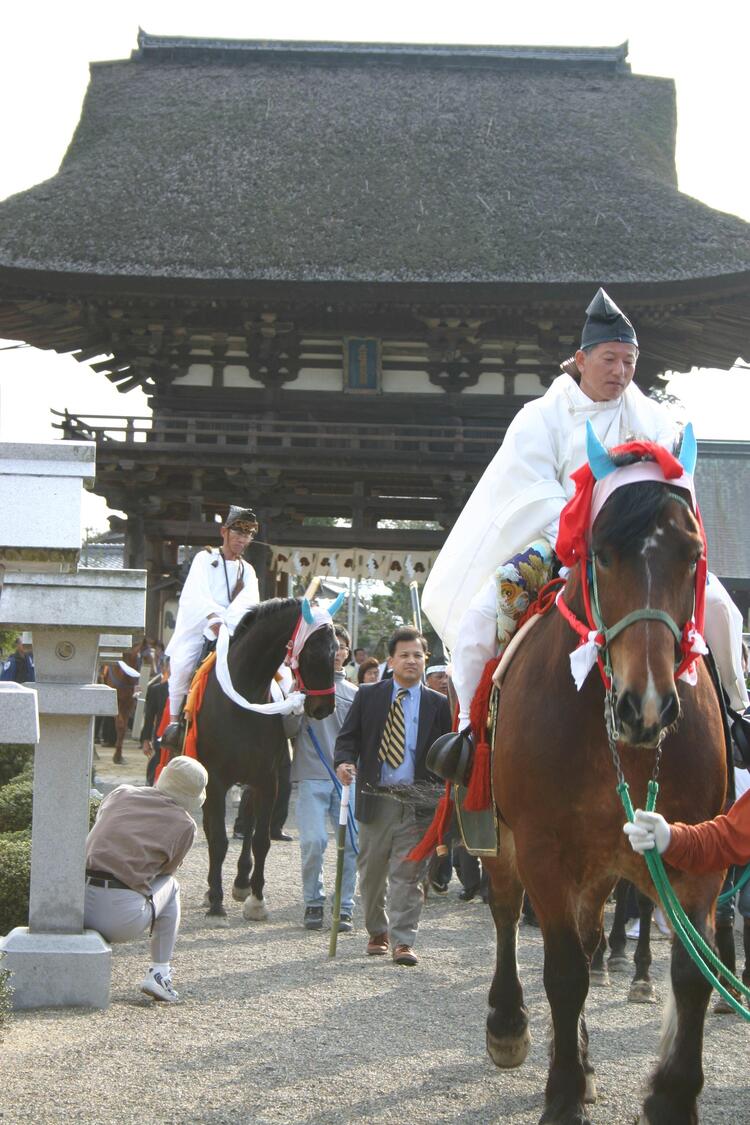 3_苗村神社.jpg