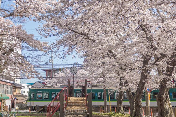 kawaguchi-park.jpg