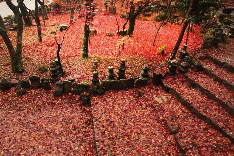 瓦屋禅寺.jpg