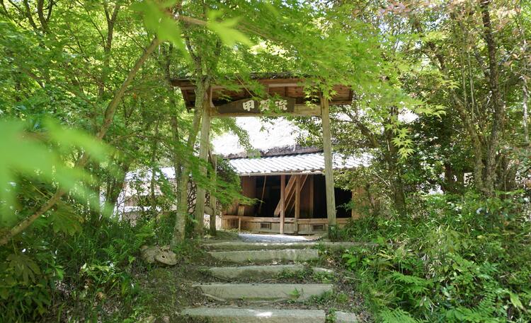 koukaryu