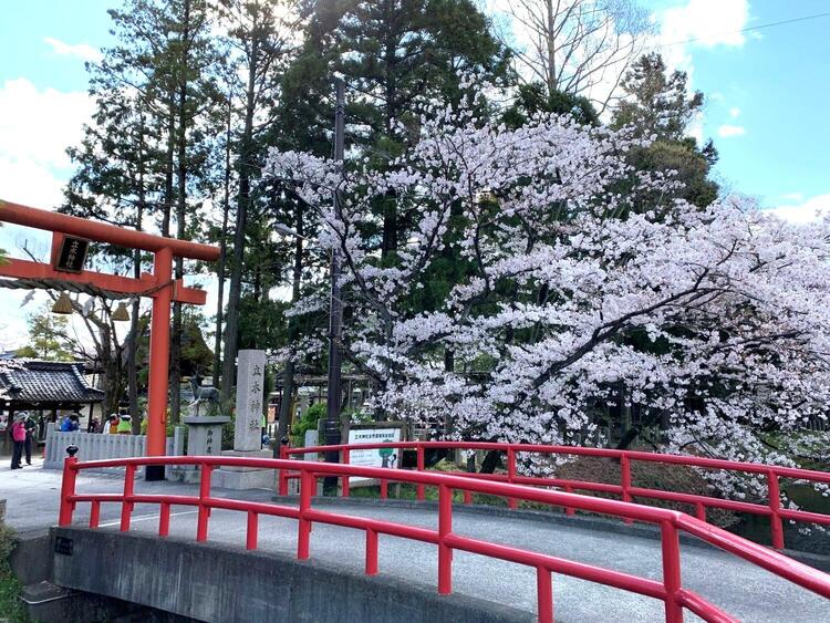 tachiki-jinja.jpg