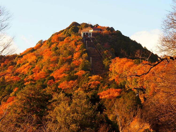 八幡山ロープウェー.jpg