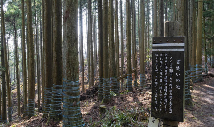 shizugatake-kosenjo.jpg