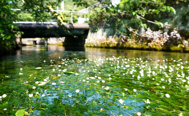地蔵川.jpg