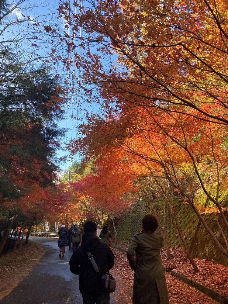 三雲城址道中.jpg