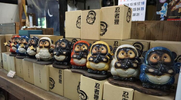 ninja-tanuki