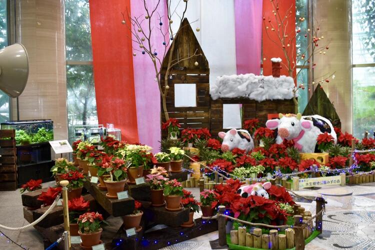 水生植物公園みずの森丑コラボ4
