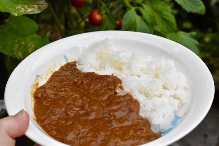 佐知's Pocketカレー