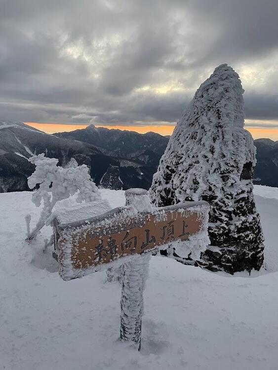 綿向山頂上冬.jpg