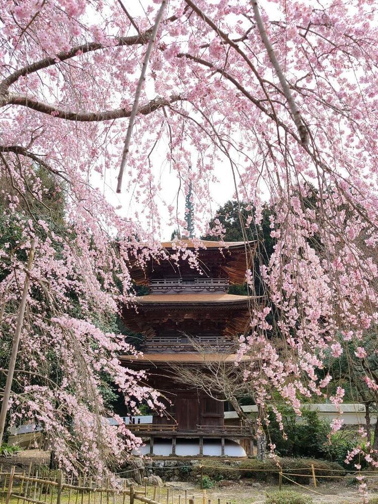 seiryuji-tokugenin.jpg