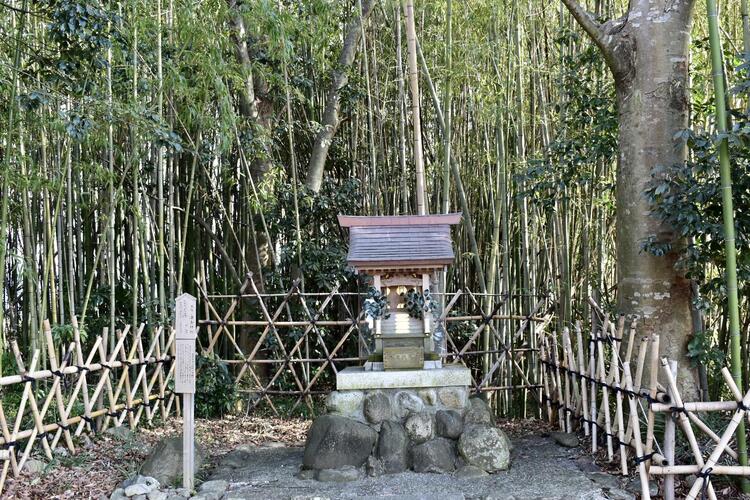 豊満神社竹藪