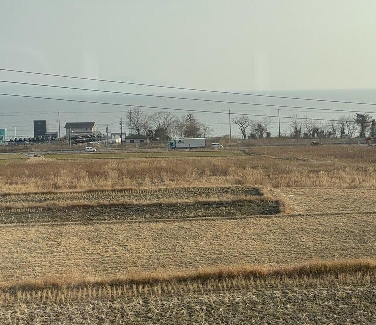 kosei2.jpg
