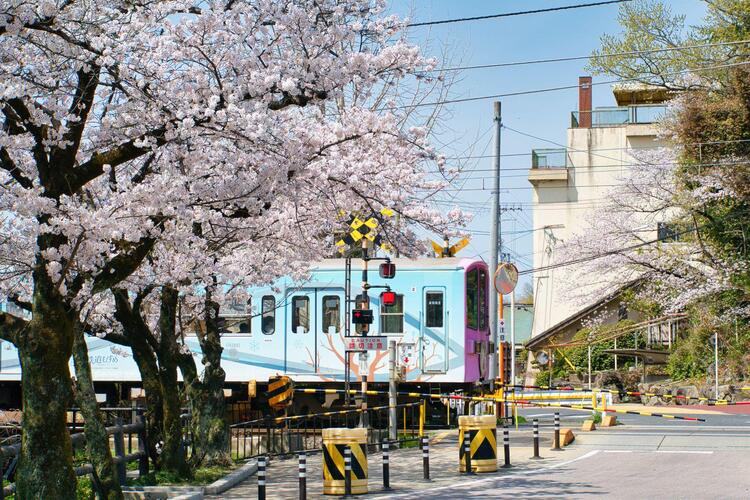shuzu-river.jpg