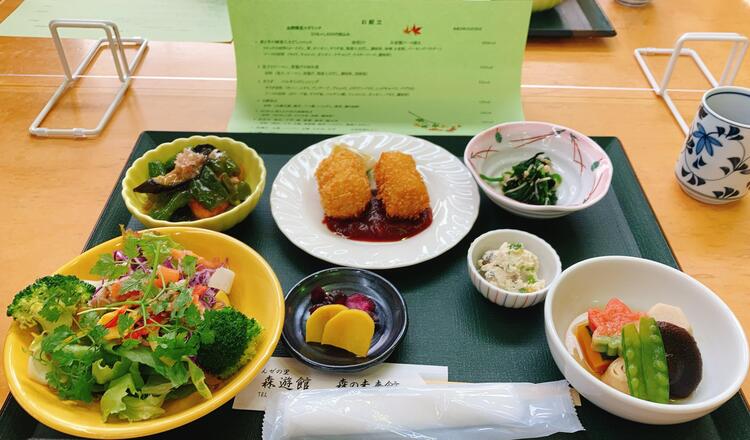 森遊館昼食2.jpeg
