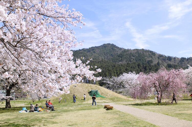 echihataujikofun-park.jpg
