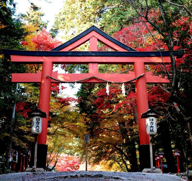 山王鳥居 (1).JPG