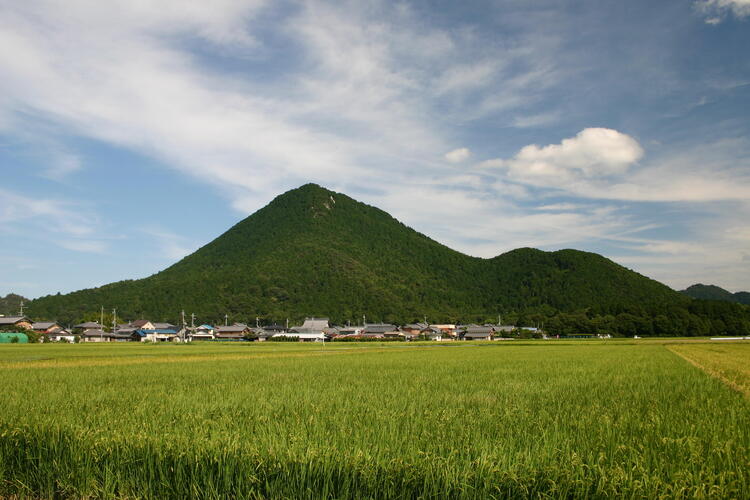 三上山全景.jpg