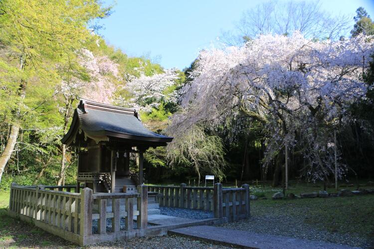 ii-jinja.jpg