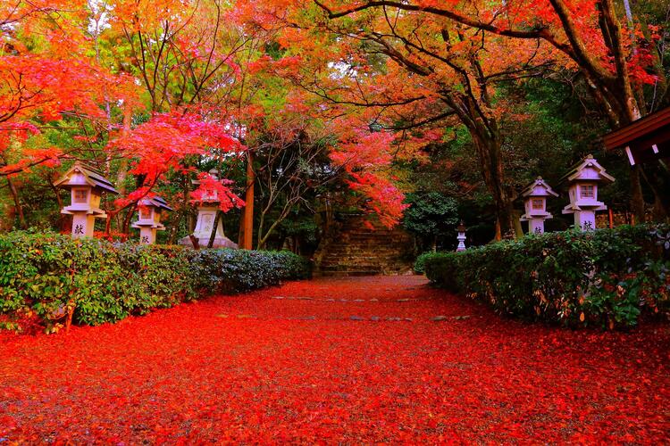 8_故宮神社.jpg