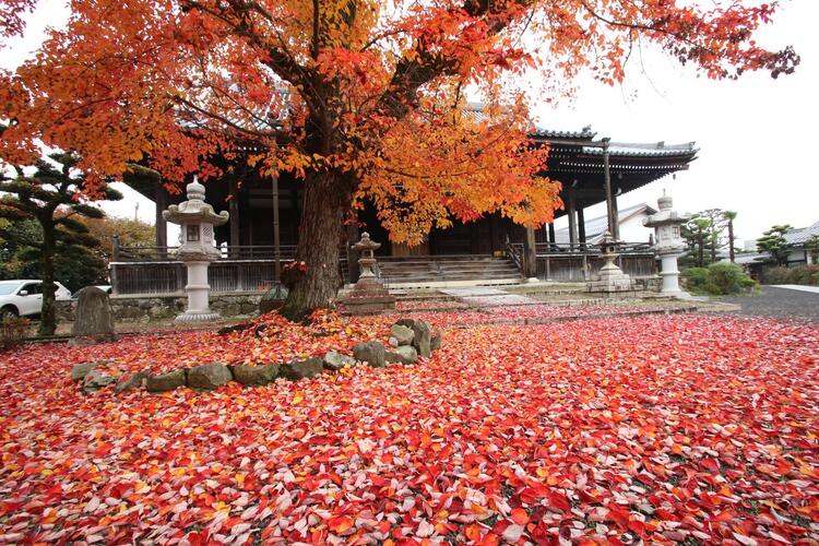 宝満寺.jpg